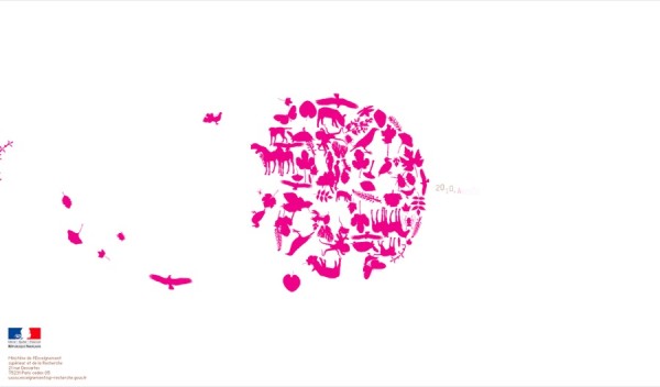 web design martinique