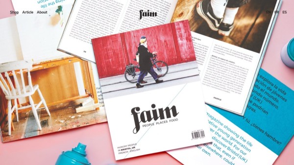 développeur wordpress nantes