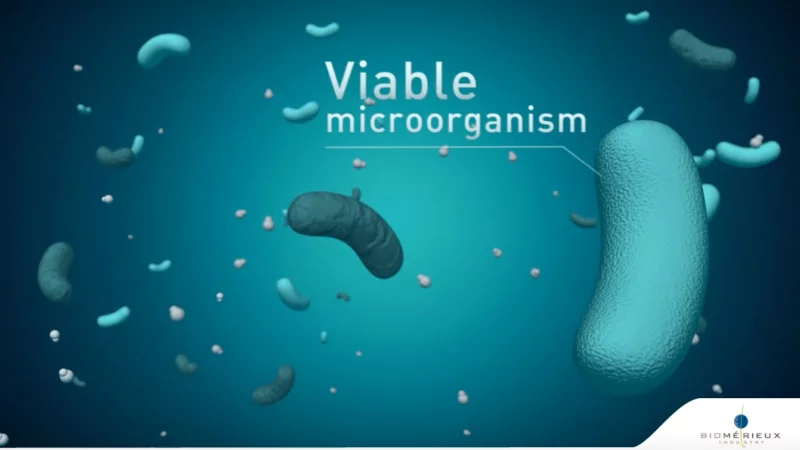 motion design After Effect &mdash; Biom&eacute;rieux Industry Communication scientifique &mdash; d&eacute;veloppeur front-end freelance Emmanuel Lechat &mdash; vue 5/7