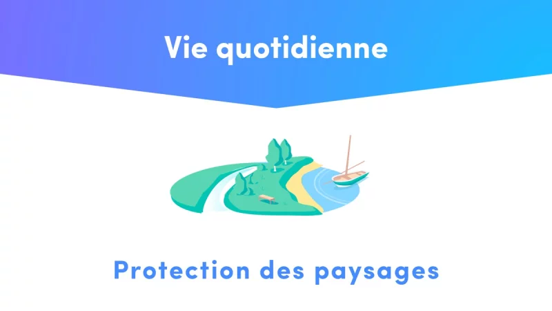 design Illustrator, motion design After Effect &mdash; Finist&egrave;re Animation & Motion design &mdash; d&eacute;veloppeur front-end freelance Emmanuel Lechat &mdash; vue 6/9