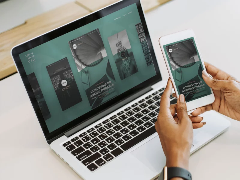 Van Dan Vil site, bespoke web development and front-end integration