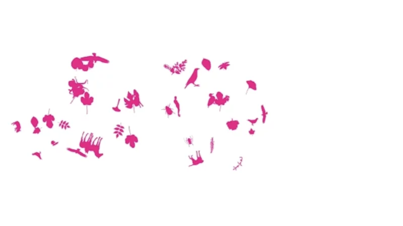 int&eacute;gration HTML/CSS, d&eacute;veloppement JavaScript &mdash; Voeux Minist&egrave;re Animation & Motion design &mdash; d&eacute;veloppeur front-end freelance Emmanuel Lechat &mdash; vue 2/5