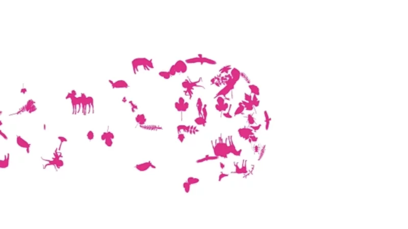 int&eacute;gration HTML/CSS, d&eacute;veloppement JavaScript &mdash; Voeux Minist&egrave;re Animation & Motion design &mdash; d&eacute;veloppeur front-end freelance Emmanuel Lechat &mdash; vue 3/5