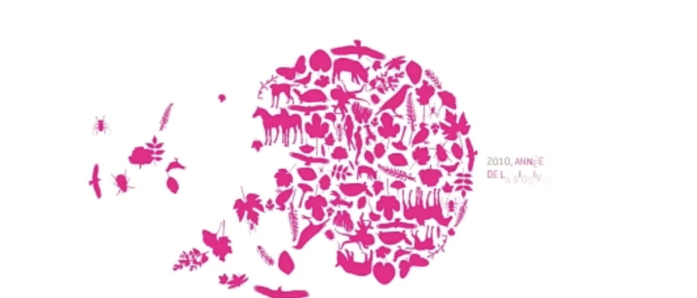 int&eacute;gration HTML/CSS, d&eacute;veloppement JavaScript &mdash; Voeux Minist&egrave;re Animation & Motion design &mdash; d&eacute;veloppeur front-end freelance Emmanuel Lechat &mdash; vue 4/5