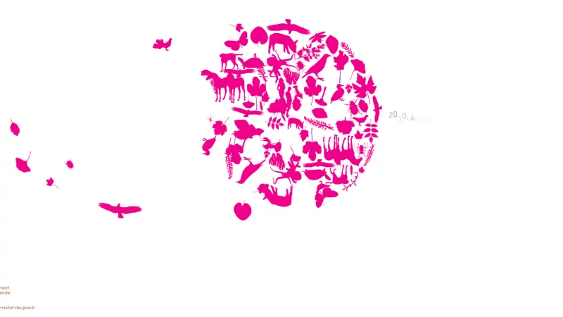 int&eacute;gration HTML/CSS, d&eacute;veloppement JavaScript &mdash; Voeux Minist&egrave;re Animation & Motion design &mdash; d&eacute;veloppeur front-end freelance Emmanuel Lechat &mdash; vue 5/5