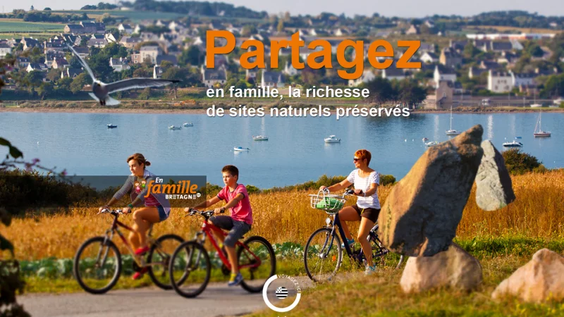 int&eacute;gration HTML/CSS, d&eacute;veloppement JavaScript &mdash; R&eacute;gion Bretagne Institutionnel &mdash; d&eacute;veloppeur front-end freelance Emmanuel Lechat &mdash; vue 7/8