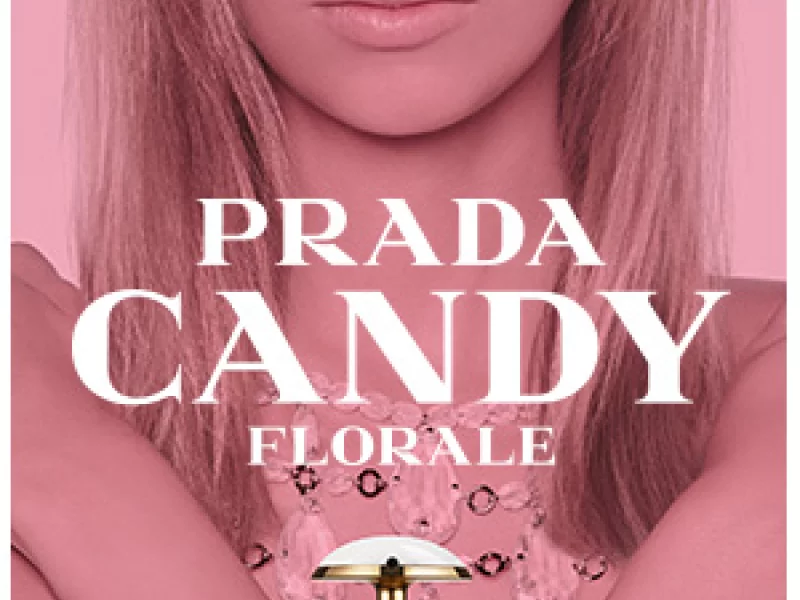 R&eacute;alisation de banni&egrave;res html5 pour des campagnes publicitaires vari&eacute;es.