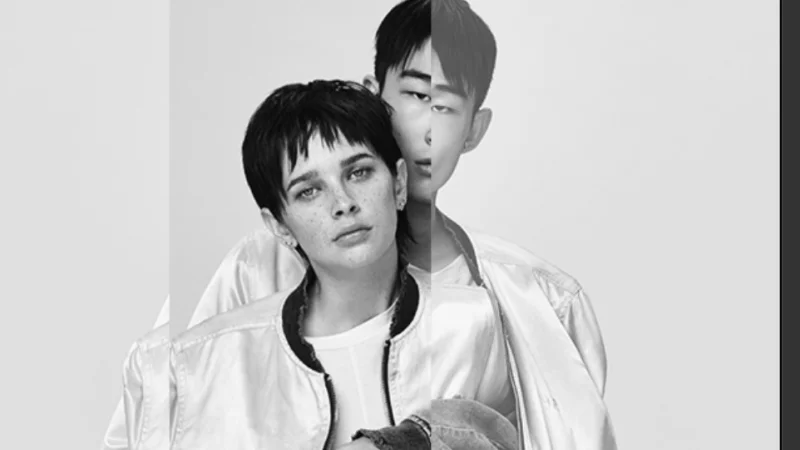 int&eacute;gration HTML/CSS, d&eacute;veloppement JavaScript &mdash; banni&egrave;re diesel Luxe & Grande marque &mdash; d&eacute;veloppeur front-end freelance Emmanuel Lechat &mdash; vue 2/3