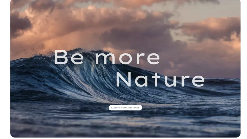 scroll anim&eacute; Lenis, animations GSAP, int&eacute;gration HTML/CSS &mdash; foen agency Nautisme &mdash; d&eacute;veloppeur front-end freelance Emmanuel Lechat &mdash; vue 7/8