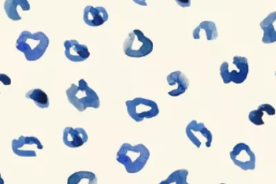 Creation of a pattern-design portfolio