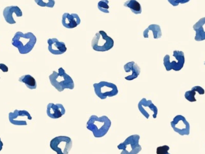 Creation of a pattern-design portfolio