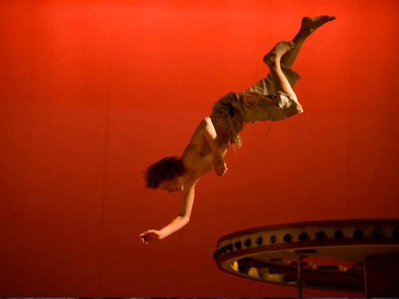 Webdesign et programmation du portfolio de costumi&egrave;re de th&eacute;&acirc;tre et d'op&eacute;ra R&eacute;alisation d'un graphisme simple et intuitif. cms Wordpress.