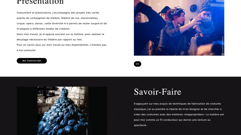 d&eacute;veloppement WordPress &mdash; Magali-Castellan Portfolios & Books &mdash; d&eacute;veloppeur front-end freelance Emmanuel Lechat &mdash; vue 10/13