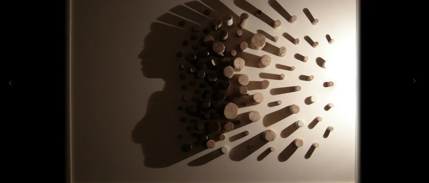 int&eacute;gration HTML/CSS, d&eacute;veloppement JavaScript &mdash; Simon Touaux Portfolios & Books &mdash; d&eacute;veloppeur front-end freelance Emmanuel Lechat &mdash; vue 4/6