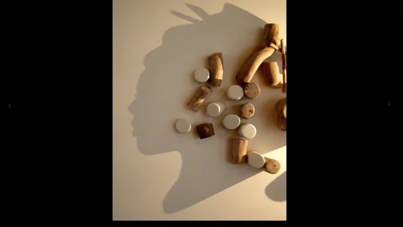 int&eacute;gration HTML/CSS, d&eacute;veloppement JavaScript &mdash; Simon Touaux Portfolios & Books &mdash; d&eacute;veloppeur front-end freelance Emmanuel Lechat &mdash; vue 5/6