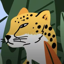 Développement front-end du site de l'Agence 148