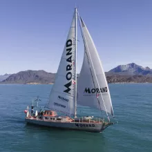 Réalisation du site de l'Artiste